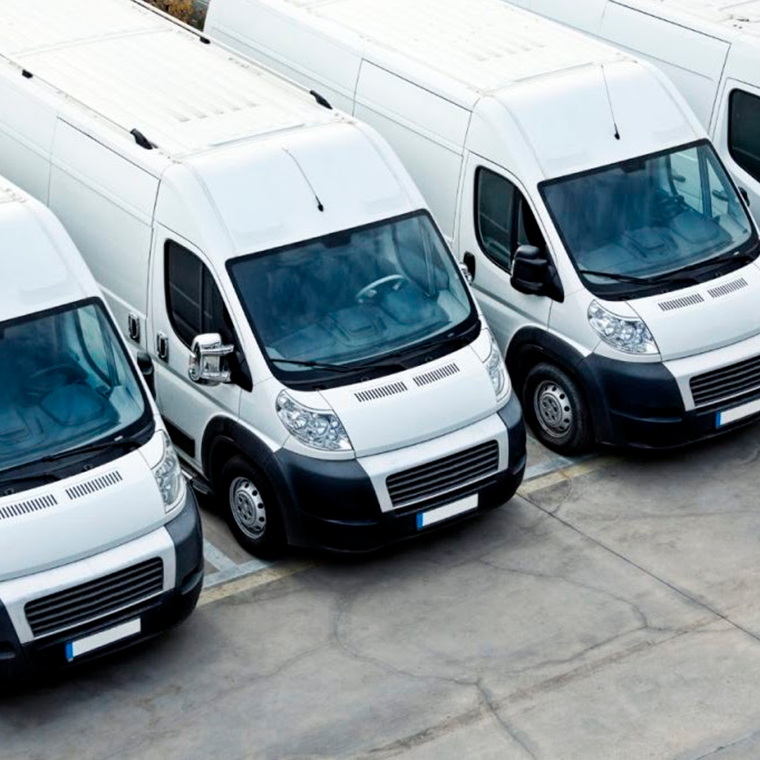 Camioneta gris